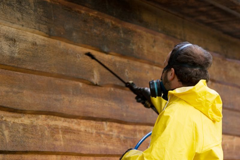 Cabin Siding Pressure Washing