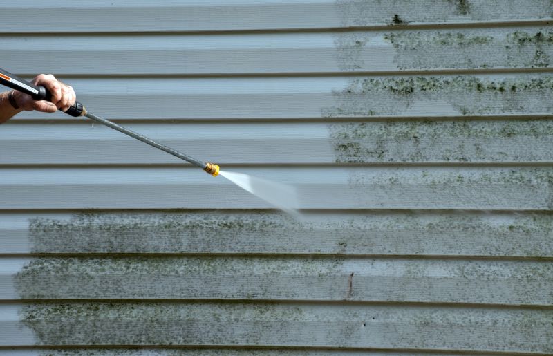 Cabin Siding Pressure Washing