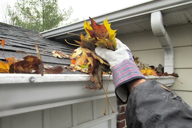Downspout Cleaning in Longmont, CO